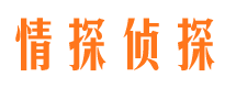 银海市侦探公司